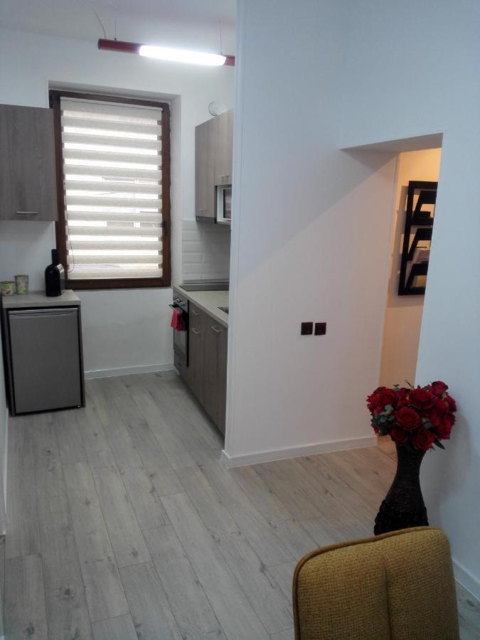 A. Einstein 9A Apartament Kaloşvar Oda fotoğraf