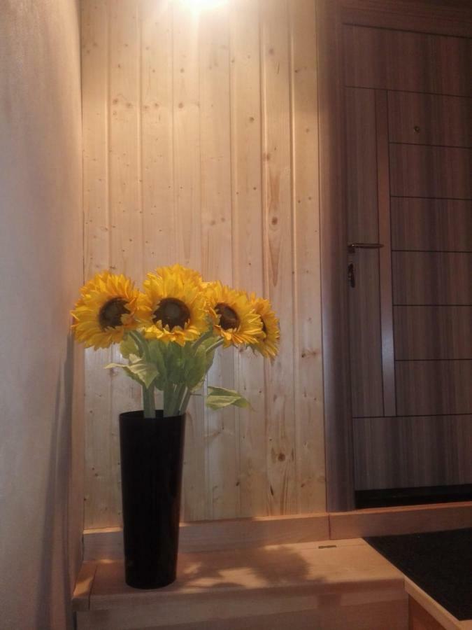 A. Einstein 9A Apartament Kaloşvar Dış mekan fotoğraf